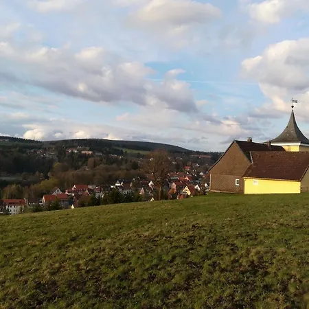 Tolles Schoenes Mit Grosser Grillterrasse Fuer 12 Personen Im Harz Dom wakacyjny