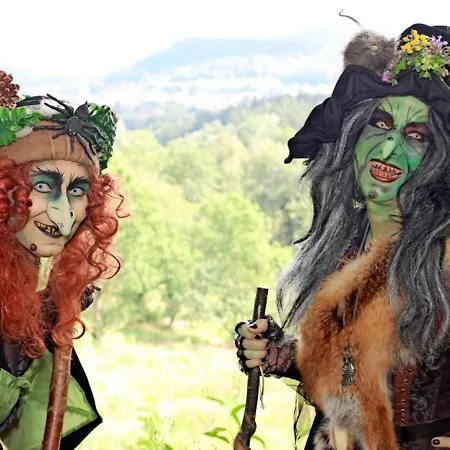Tolles Schoenes Mit Grosser Grillterrasse Fuer 12 Personen Im Harz * Sankt Andreasberg