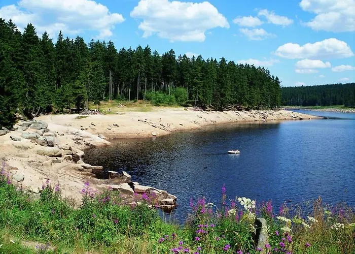 Tolles Schoenes Mit Grosser Grillterrasse Fuer 12 Personen Im Harz