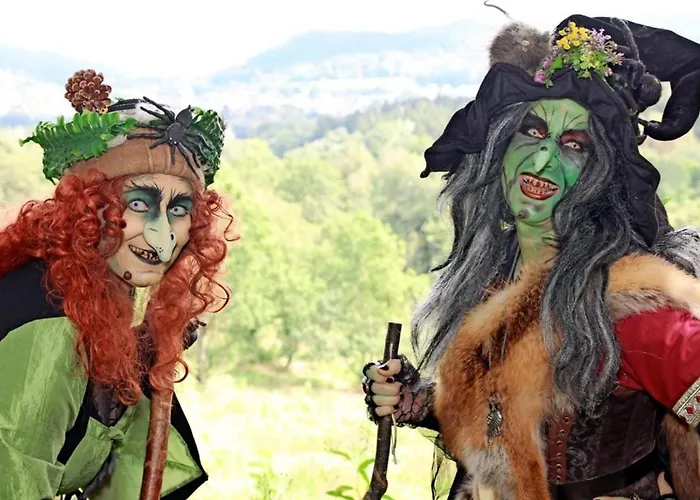 Tolles Schoenes Mit Grosser Grillterrasse Fuer 12 Personen Im Harz * Sankt Andreasberg